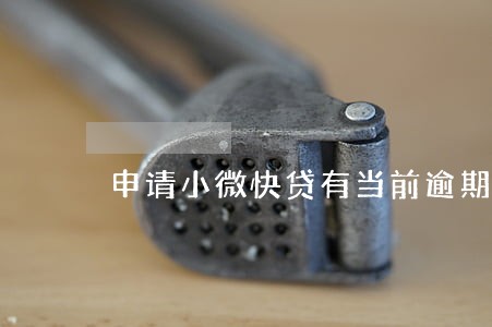申请小微快贷有当前逾期怎么办