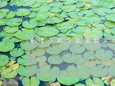 申请小额贷款逾期后的家人