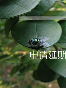 申请延期还款后房贷显示逾期 申请延期还款后房贷显示逾期