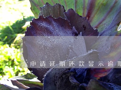 申请延期还款显示逾期 申请延期还款显示逾期