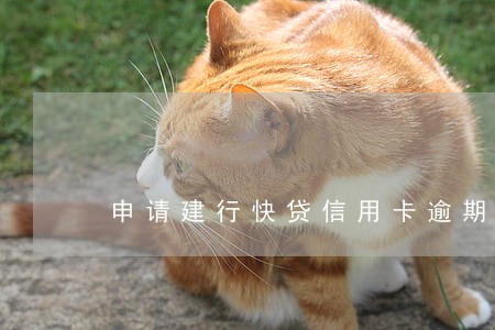 申请建行快贷信用卡逾期