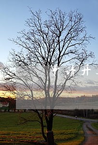 申请开具非恶意逾期证明 申请开具非恶意逾期证明