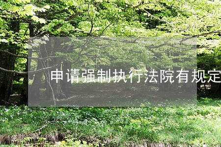 申请强制执行法院有规定时间吗 申请强制执行法院有规定时间吗