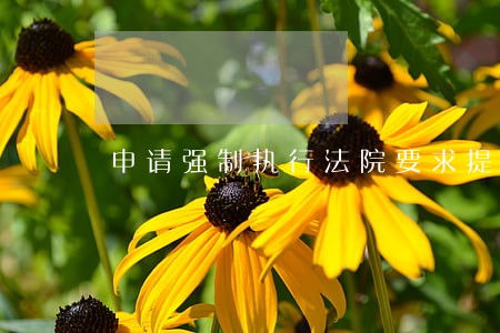 申请强制执行法院要求提供证据 申请强制执行法院要求提供证据