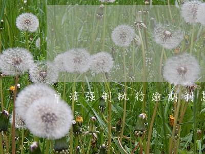 申请强制执行逾期利息是多少 申请强制执行逾期利息是多少