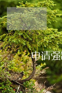 申请强制执行逾期利率多少 申请强制执行逾期利率多少