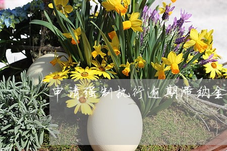 申请强制执行逾期滞纳金 申请强制执行逾期滞纳金