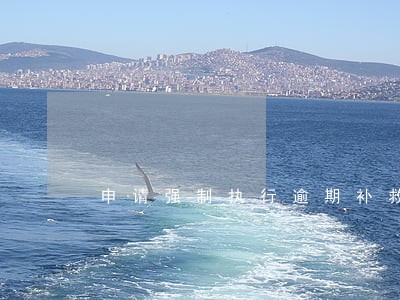 申请强制执行逾期补救办法 申请强制执行逾期补救办法