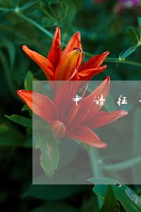 申请征信逾期记录撤销需要多久 申请征信逾期记录撤销需要多久