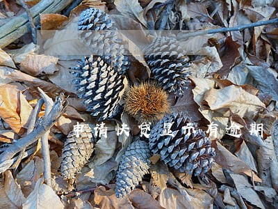 申请快贷显示有逾期 申请快贷显示有逾期