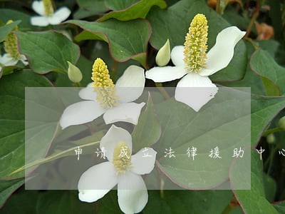 申请成立法律援助中心 申请成立法律援助中心