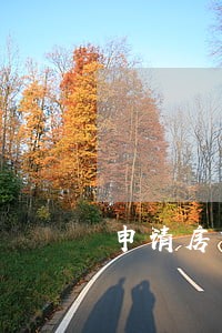 申请房贷信用出现了3次逾期 申请房贷信用出现了3次逾期