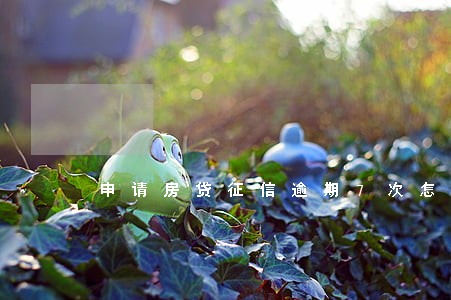申请房贷征信逾期7次怎么办 申请房贷征信逾期7次怎么办