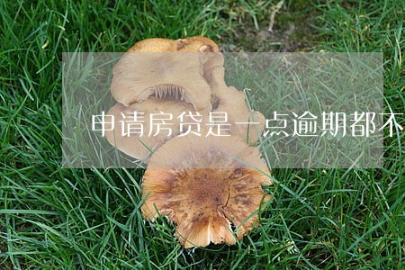申请房贷是一点逾期都不能有 申请房贷是一点逾期都不能有