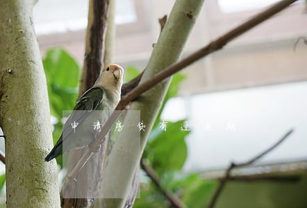 申请房贷有过逾期 申请房贷有过逾期