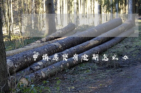 申请房贷有逾期怎么办 申请房贷有逾期怎么办