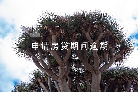 申请房贷期间逾期 申请房贷期间逾期