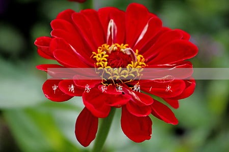 申请房贷逾期1次
