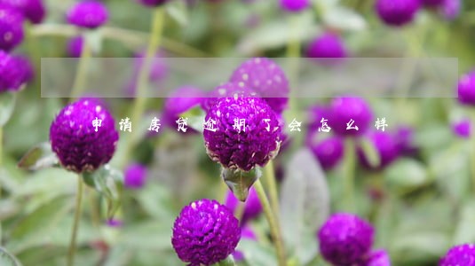 申请房贷逾期了会怎么样 申请房贷逾期了会怎么样