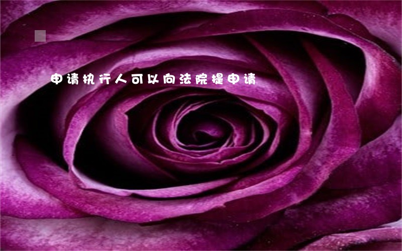 申请执行人可以向法院提申请 申请执行人可以向法院提申请