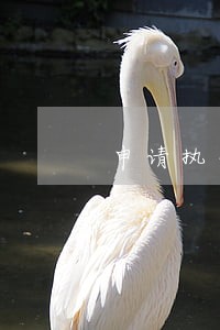 申请执行案在法院总换执行法官 申请执行案在法院总换执行法官