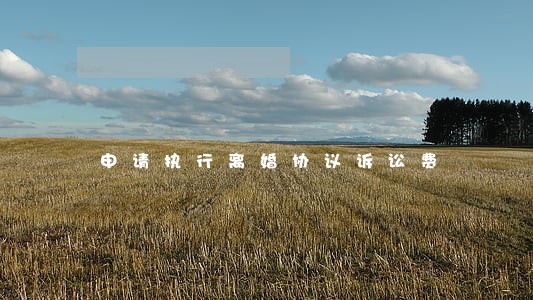 申请执行离婚协议诉讼费 申请执行离婚协议诉讼费