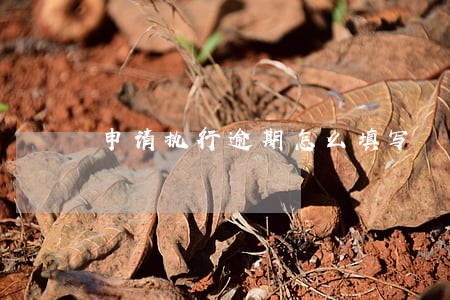 申请执行逾期怎么填写 申请执行逾期怎么填写