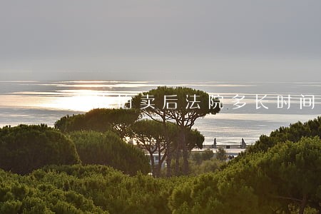 申请拍卖后法院多长时间给予执行 申请拍卖后法院多长时间给予执行