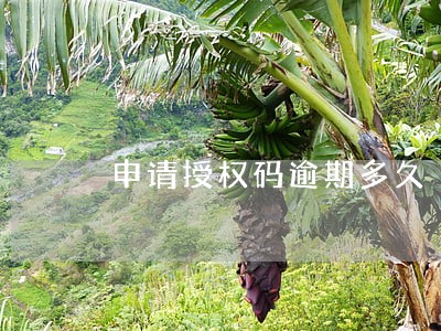 申请授权码逾期多久 申请授权码逾期多久