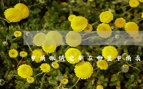 申请撤销逾期在哪里申请表 申请撤销逾期在哪里申请表