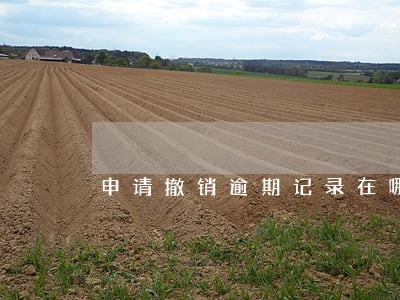 申请撤销逾期记录在哪里 申请撤销逾期记录在哪里
