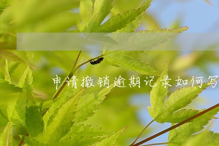 申请撤销逾期记录如何写 申请撤销逾期记录如何写