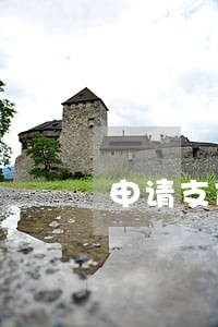 申请支付令可以主张逾期利息 申请支付令可以主张逾期利息