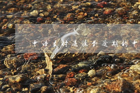 申请支付过渡费逾期的申请书