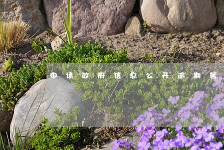 申请政府信息公开逾期答复 申请政府信息公开逾期答复