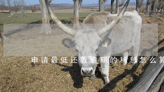 申请最低还款逾期的利息怎么算 申请最低还款逾期的利息怎么算