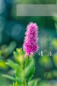 申请法律援助有什么影响 申请法律援助有什么影响