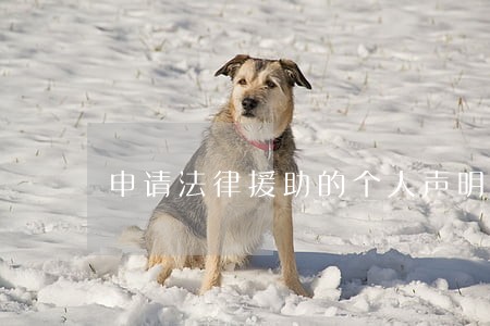 申请法律援助的个人声明 申请法律援助的个人声明