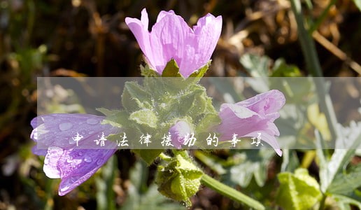 申请法律援助的事项