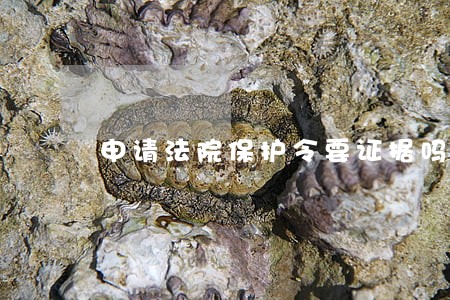 申请法院保护令要证据吗 申请法院保护令要证据吗