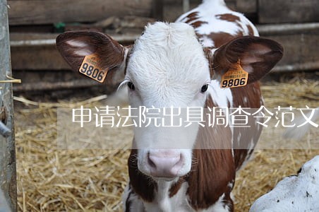 申请法院出具调查令范文 申请法院出具调查令范文