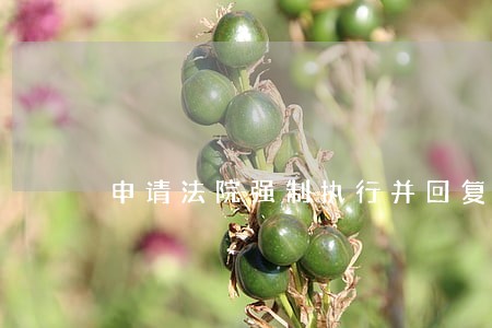 申请法院强制执行并回复本人多久 申请法院强制执行并回复本人多久