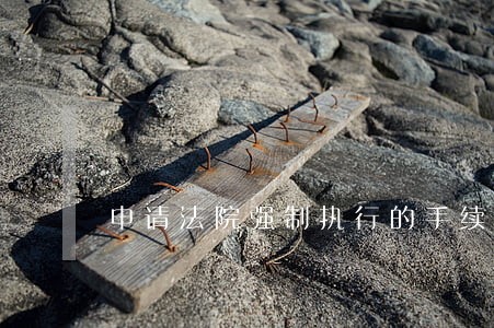 申请法院强制执行的手续