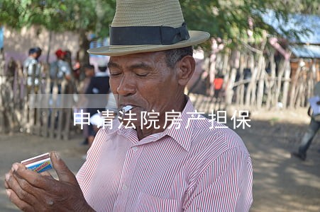 申请法院房产担保 申请法院房产担保