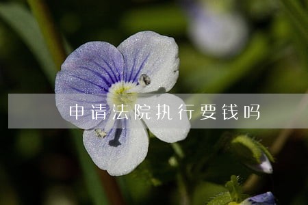 申请法院执行要钱吗 申请法院执行要钱吗