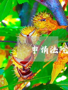 申请法院拍卖按揭房用于还债 申请法院拍卖按揭房用于还债