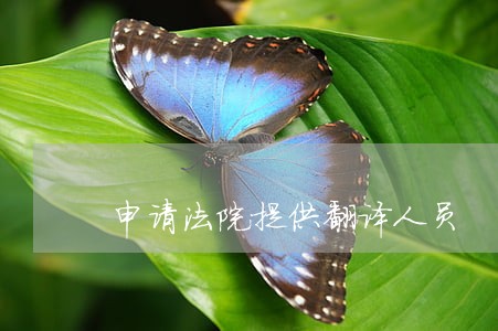 申请法院提供翻译人员