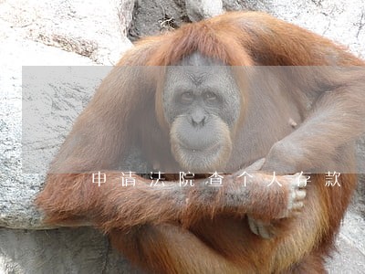申请法院查个人存款 申请法院查个人存款