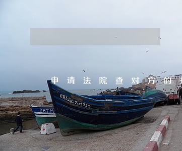 申请法院查对方的理财账户嘛