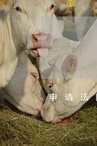申请法院现场调查